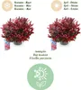 GreenboutiQ - Gartenpflanze - Leucothoe Zeblid - Rot - 1 Produktbild-Vorschau 4