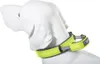 Halsband ArmoredTech Dog Control Gr. XL 51 - 60 cm neon Produktbild-Vorschau 1