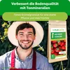Purgrün -Erdbeerdünger | Krümelgranulat für Erdbeeren | 1kg Produktbild-Vorschau 2