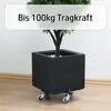 2x Pflanzenroller 100kg Rolluntersetzer Metall Blumenroller Produktbild-Vorschau 8