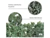Close-up views and a full view of an artificial hedge with green leaves attached to a green mesh frame. Náhled obrázku produktu
