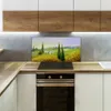 Coloray Spritzschutz aus Glas 100x50  Wandkunst Produktbild-Vorschau 3