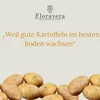 Floravera Premium  Kartoffelerde Blumenerde Pflanzerde 2 x Produktbild-Vorschau 2