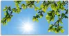 Tulup Leinwand-Bilder 140x70 Wandbild Canvas Kunstdruck Produktbild-Vorschau 1