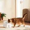 Xiaomi Smart Pet Fountain 2 Produktbild-Vorschau 9