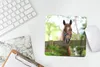 MuchoWow® Mauspad Mousepad Pferd - Natur - Zaun 20x20 cm - Produktbild-Vorschau 5
