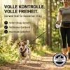 HUND IST KÖNIG Rollleine für Hunde - robuste 5m Hundeleine Produktbild-Vorschau 3