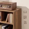VASAGLE stojan na gramofon pro 160 desek, příležitostný Náhled obrázku produktu 5