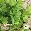 Samenliebe  Petersilie Samen | Gigante di Napoli - Produktbild-Vorschau 4