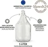 lilawelt24 6x 5L Glasballon Gallone mit Bügelverschluss und Produktbild-Vorschau 3