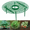 20 Stück Quadratisch Erdbeerreifer Gartenzubehör Produktbild-Vorschau 8