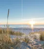 A beach scene at sunset with tall grass in the foreground and the ocean and sky in the background. Produktbild-Vorschau