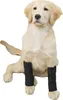 INF Protection Articulaire pour Animaux JT2 - Noir pour Voir les images du produit 1