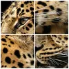 Gerahmtes Poster - Rahmen in heller Eiche - Tiere Leopard Produktbild-Vorschau 9