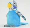 A plush toy parakeet sitting on a white background. Produktbild-Vorschau