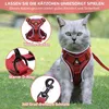 Ensemble de gamelle pour chat avec laisse, anti-évasion, Voir les images du produit 3