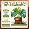 Green Home Monstera Erde 36 L – Substrat für Fensterblatt, Produktbild-Vorschau 3