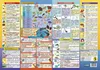 Školní podložka na stůl oboustranná dinosaurus 9545 Náhled obrázku produktu 3