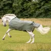 BUSSE Fliegendecke Rainfly Regendecke Light Olive 155 Produktbild-Vorschau 6