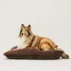 4L Textil MOLLY Hundekissen aus Cord, wendbares Hundebett, Produktbild-Vorschau 2