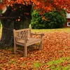 CLP Teakbank Florida teak Größe 120 cm Produktbild-Vorschau 4