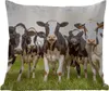 MuchoWow® Outdoor Kissen - Kühe - Weide - Tiere - Natur - Produktbild-Vorschau 6