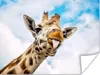 MuchoWow® Poster Giraffe - Lustig - Zunge - Kinder - Jungen Produktbild-Vorschau 1