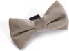 Designed by Lotte Hunde Velvet Fliege Zaza grau 12 x 7 x 2 Produktbild-Vorschau 4