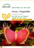 SAFLAX - Venus - Fliegenfalle - Dionaea muscipula - 10 Produktbild-Vorschau 1