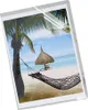 Leitz 41060002, 22 cm, 31,3 cm, 30g, Transparent Produktbild-Vorschau 8