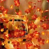 Guirlande lumineuse d'Halloween avec citrouille Feuille Voir les images du produit 14
