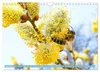 Ein Leben für den Honig: Bienen und Imker (Wandkalender Produktbild-Vorschau 4