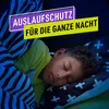 Pampers Ninjamas Pyjama Jungen Windelhosen 4-7 Jahre (17-30 Produktbild-Vorschau 8