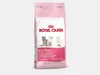 A bag of Royal Canin Kitten cat food. Náhled obrázku produktu
