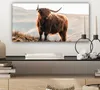 MuchoWow® - Leinwandbilder - Schottische Highlander - Tiere Produktbild-Vorschau 7