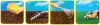 A collage of four images showing the process of sowing grass seed and mowing. Voir les images du produit