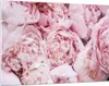 Bilder auf glas - Einteilig - Blumenstrauß Blumen Rosa - Produktbild-Vorschau 1