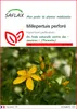 SAFLAX  - Millepertuis perforé - 300 graines - Hypericum Voir les images du produit 1