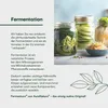 A marketing image with text about fermentation and jars of fermented vegetables. Produktbild-Vorschau