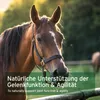 AniForte Afrikanische Teufelskralle für Pferde 1 kg - 100% Produktbild-Vorschau 5