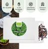 Sauerampfer Samen - Heilkräuter Saatgut aus biologischem Produktbild-Vorschau 4