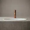 A copper faucet is shown above a white sink on a concrete countertop. Náhled obrázku produktu