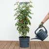 Kvetináč na pestovanie paradajok TOMATO GROWER antracit Náhľad obrázku produktu 18