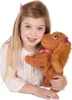 A young girl is holding a stuffed dog. Náhľad obrázku produktu