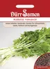 Rübstiel Namenia | Rübstielsamen von Dürr Samen Produktbild-Vorschau 3