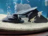 Pierres décoratives pour aquarium en ardoise, qualité Voir les images du produit 8