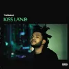 The Weeknd - Kiss Land (Seaglass Coloured) (2 LP) Voir les images du produit 1