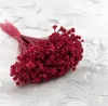 Hill Blume - Rot Produktbild-Vorschau 4