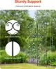 set de 2 supports pour plantes grimpantes Grille pour Voir les images du produit 2