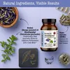 DR WAKDE'S Brahmi & Shankhpushpi Kapseln | 60 Vegi Caps | Produktbild-Vorschau 4